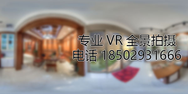 雨湖VR全景技术在未来可能的发展方向和应用领域?
